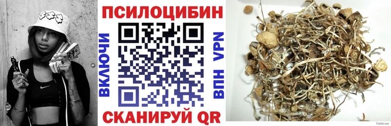 купить закладку  Кола  Псилоцибиновые грибы Psilocybe 