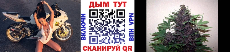 Бошки Шишки тримм Кола